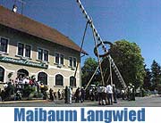 Maibaum aufstellen 2007 in Langwied (Foto: MNathalie Tandler)